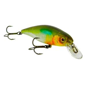 Isca Artificial Jackall Squad Minnow 80SP Meia-água - Brk Fishing