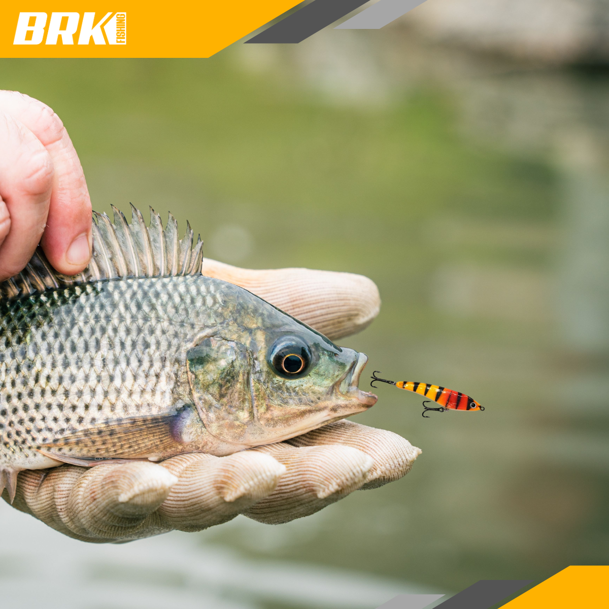 Isca Artificial CCM Catimba 10 Superfície - Brk Fishing