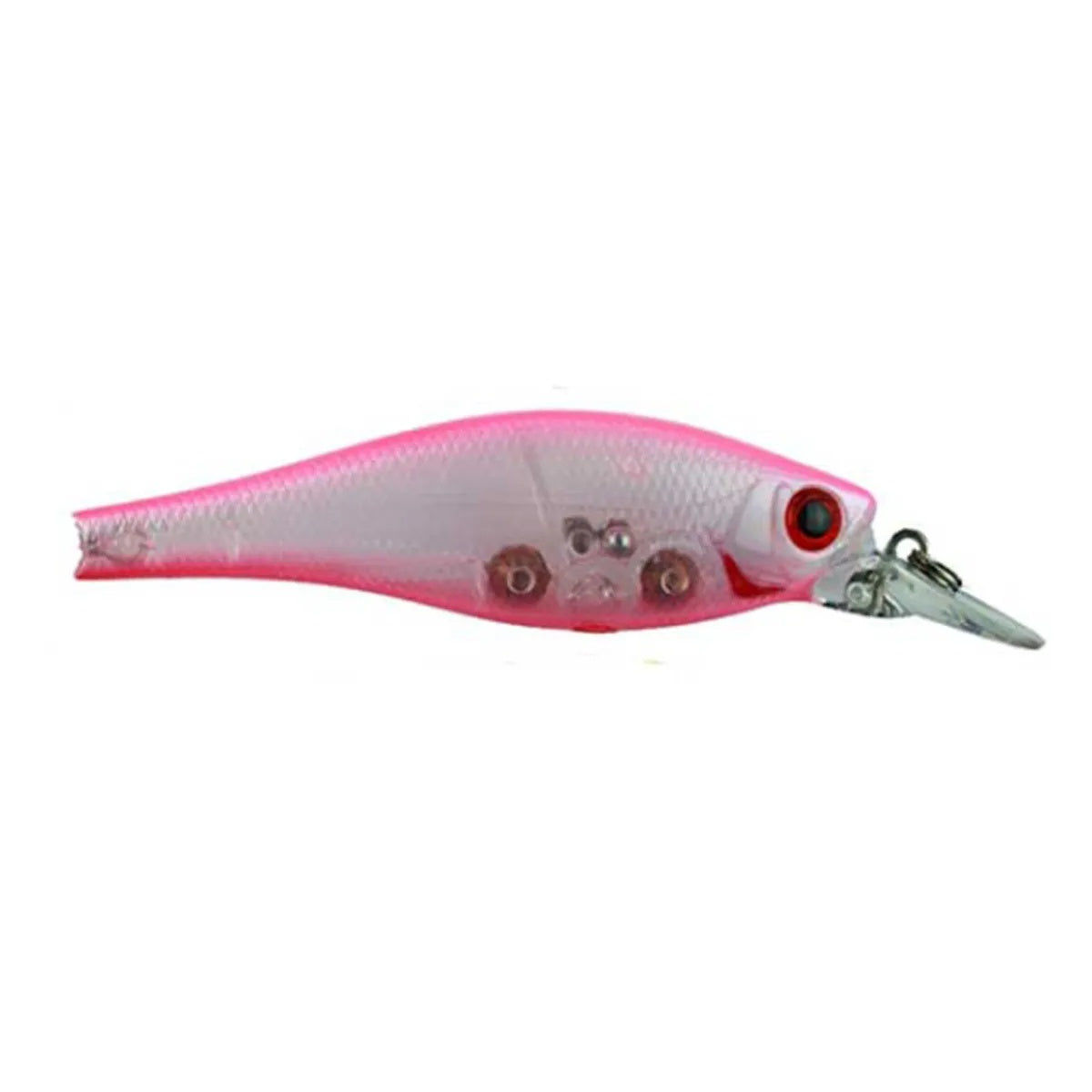 ISCA-SVS-75-L81